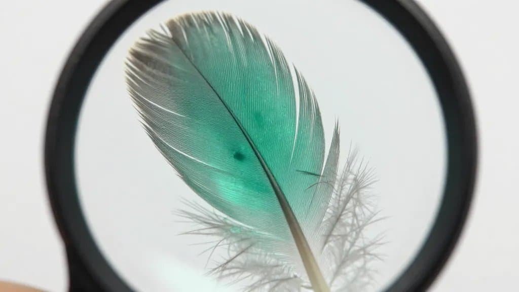 macro shot of loupe examining feather inclusion in emerald