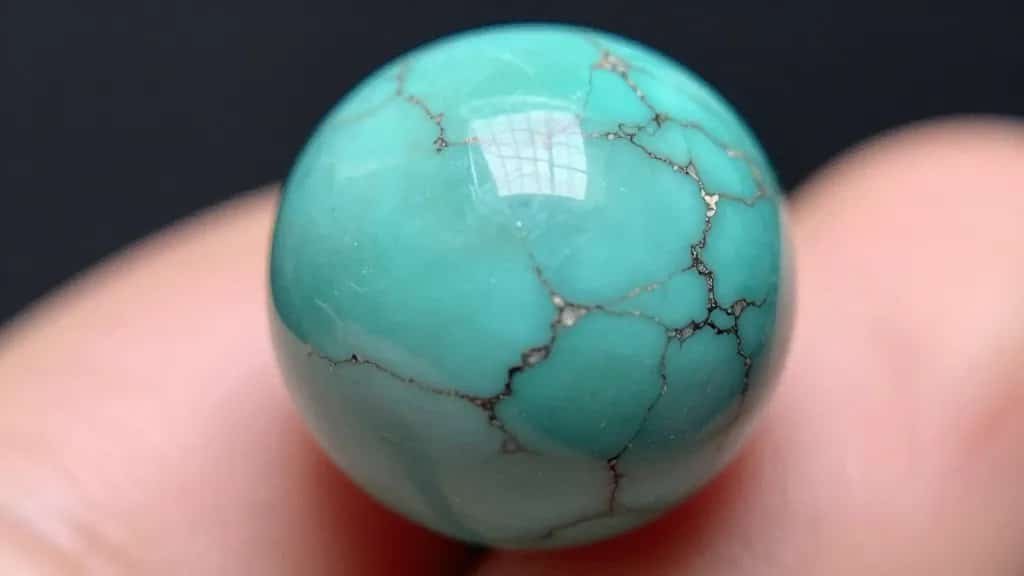 macro shot of one polished Himalayan turquoise bead with matrix